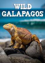 Watch Wild Galapagos Alluc