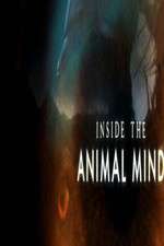 Watch Inside the Animal Mind Alluc