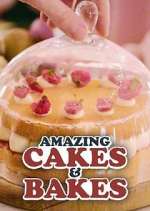 Watch Amazing Cakes & Bakes Alluc
