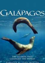 Watch Galapagos Alluc
