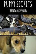 Watch Puppy Secrets: The First Six Months Alluc
