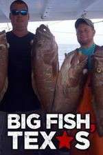 Watch Big Fish Texas Alluc