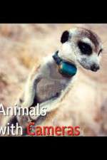 Watch Animals with Cameras Alluc