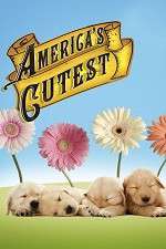 Watch America's Cutest Alluc