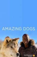 Watch Amazing Dogs Alluc