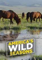 Watch America's Wild Seasons Alluc