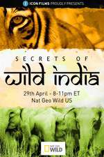 Watch Secrets of Wild India Alluc