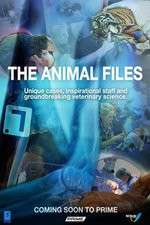Watch The Animal Files Alluc
