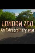 Watch London Zoo: An Extraordinary Year Alluc