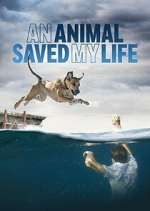 Watch An Animal Saved My Life Alluc