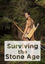 Watch Surviving the Stone Age Alluc