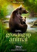 Watch Growing Up Animal Alluc