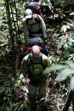 Watch Walking The Amazon Alluc