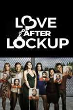 Watch Love After Lockup Alluc