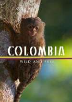 Watch Colombia: Wild and Free Alluc