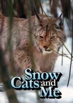 Watch Snow Cats and Me Alluc