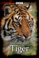 Watch Lost Land of the Tiger Alluc