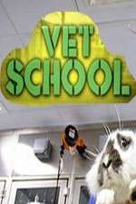 Watch Vet School Alluc