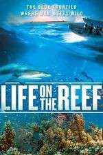Watch Life on the Reef Alluc