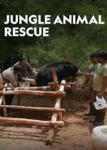 Watch Jungle Animal Rescue Alluc