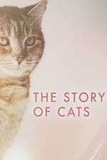 Watch The Story of Cats Alluc