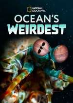Watch Ocean's Weirdest Alluc