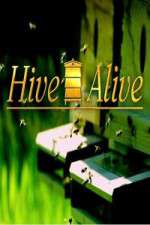 Watch Hive Alive Alluc