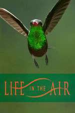Watch Life in the Air Alluc