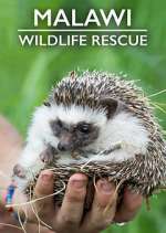 Watch Malawi Wildlife Rescue Alluc