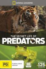 Watch Secret Life of Predators Alluc