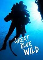 Watch Great Blue Wild Alluc