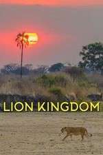 Watch Lion Kingdom Alluc