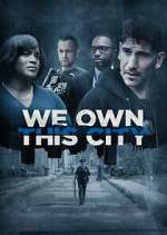 we own this city tv poster