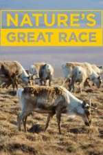 Watch Nature's Great Race Alluc