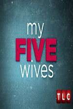 Watch My Five Wives Alluc