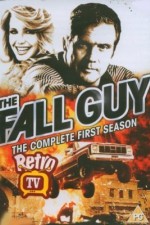 Watch The Fall Guy Alluc
