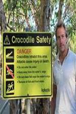 Watch Swimming With Crocodiles Alluc