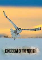 Watch Kingdom of the North Alluc
