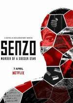 Watch Senzo: Murder of a Soccer Star Alluc