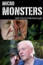 Watch Micro Monsters 3D with David Attenborough Alluc