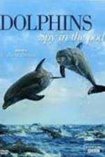 Watch Dolphins: Spy in the Pod Alluc