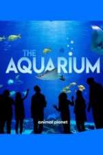 Watch The Aquarium Alluc