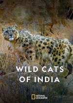 Watch Wild Cats of India Alluc