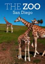 Watch The Zoo: San Diego Alluc