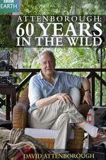 Watch Attenborough 60 Years in the Wild Alluc