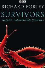 Watch Survivors: Nature's Indestructible Creatures Alluc