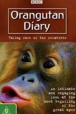 Watch Orangutan Diary Alluc