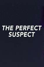 Watch The Perfect Suspect Alluc