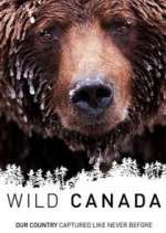 Watch Wild Canada Alluc