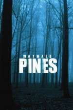Watch Wayward Pines Alluc
